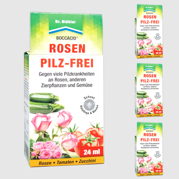 Boccacio Rosen Pilz-Frei