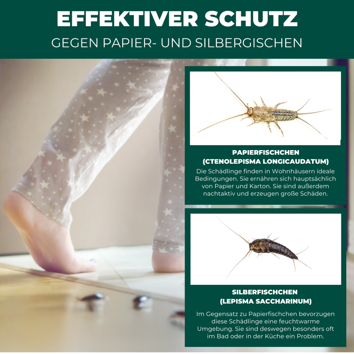 Silberfischfallen Silberfische & Papierfische bekämpfen 10 Stück