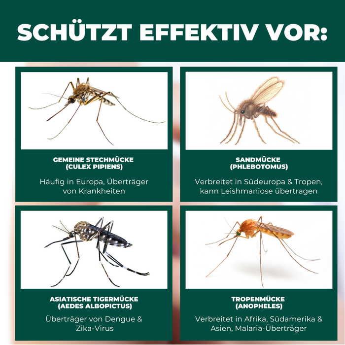 Insektenschutz für Reise- und Kinderbett – Mückennetz 150×70×90 cm – Faltbar & atmungsaktiv – Für Babyreisebett & Beistellbett – Inkl. Transportbeutel