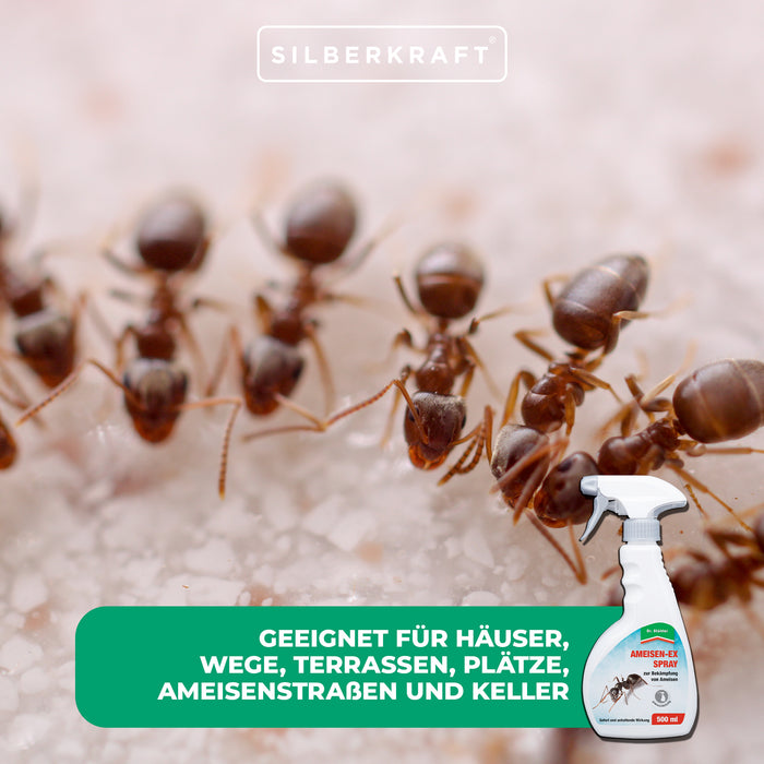 Spray anti-ex très efficace contre une variété d'insectes tels que les fourmis et les cloportes