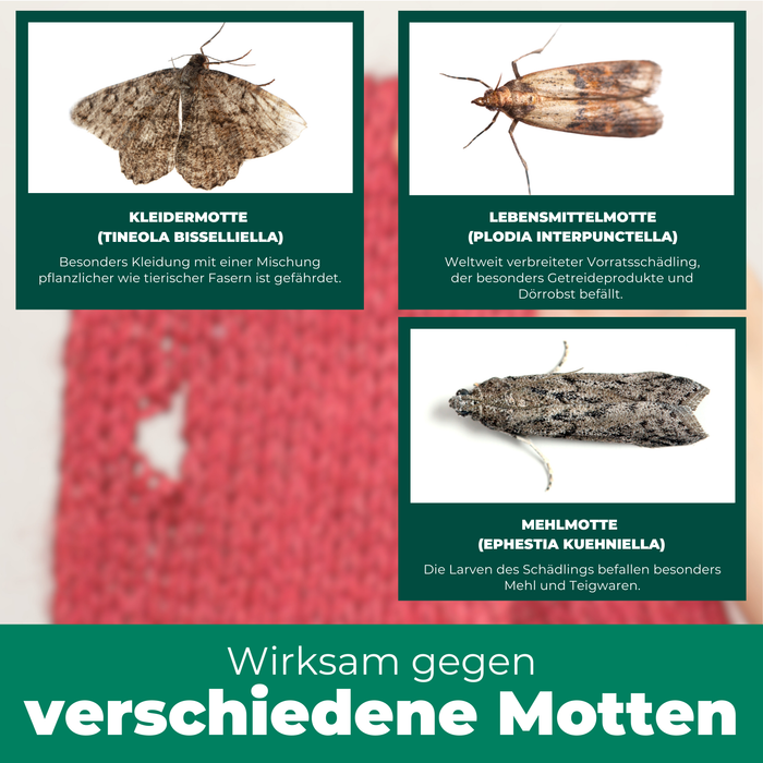 Mottenspray gegen Kleider- & Lebensmittelmotten