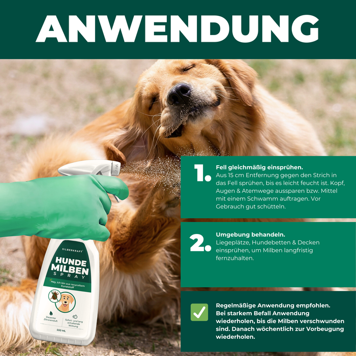 Anleitung zur Anwendung des Silberkraft Hunde Milbensprays – Sicheres Einsprühen von Fell und Umgebung für nachhaltigen Milbenschutz.