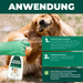 Anleitung zur Anwendung des Silberkraft Hunde Milbensprays – Sicheres Einsprühen von Fell und Umgebung für nachhaltigen Milbenschutz.