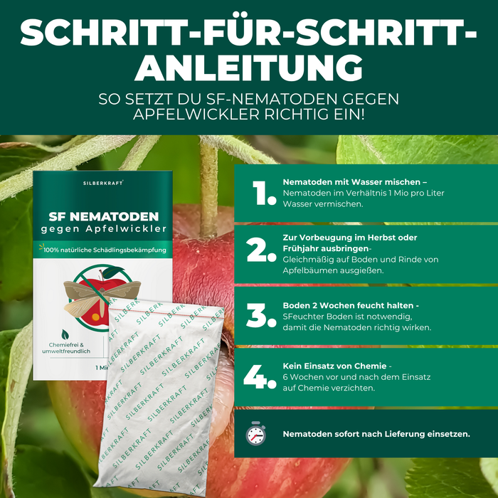 SF Nematoden gegen Apfelwickler
