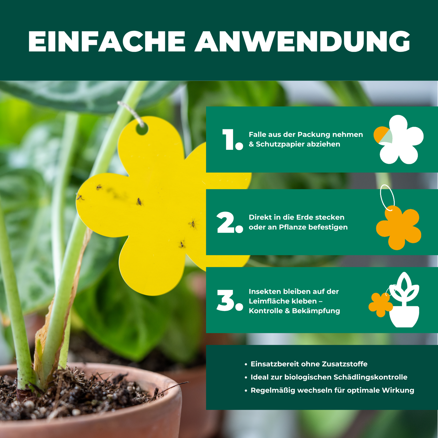 Weitere Informationen