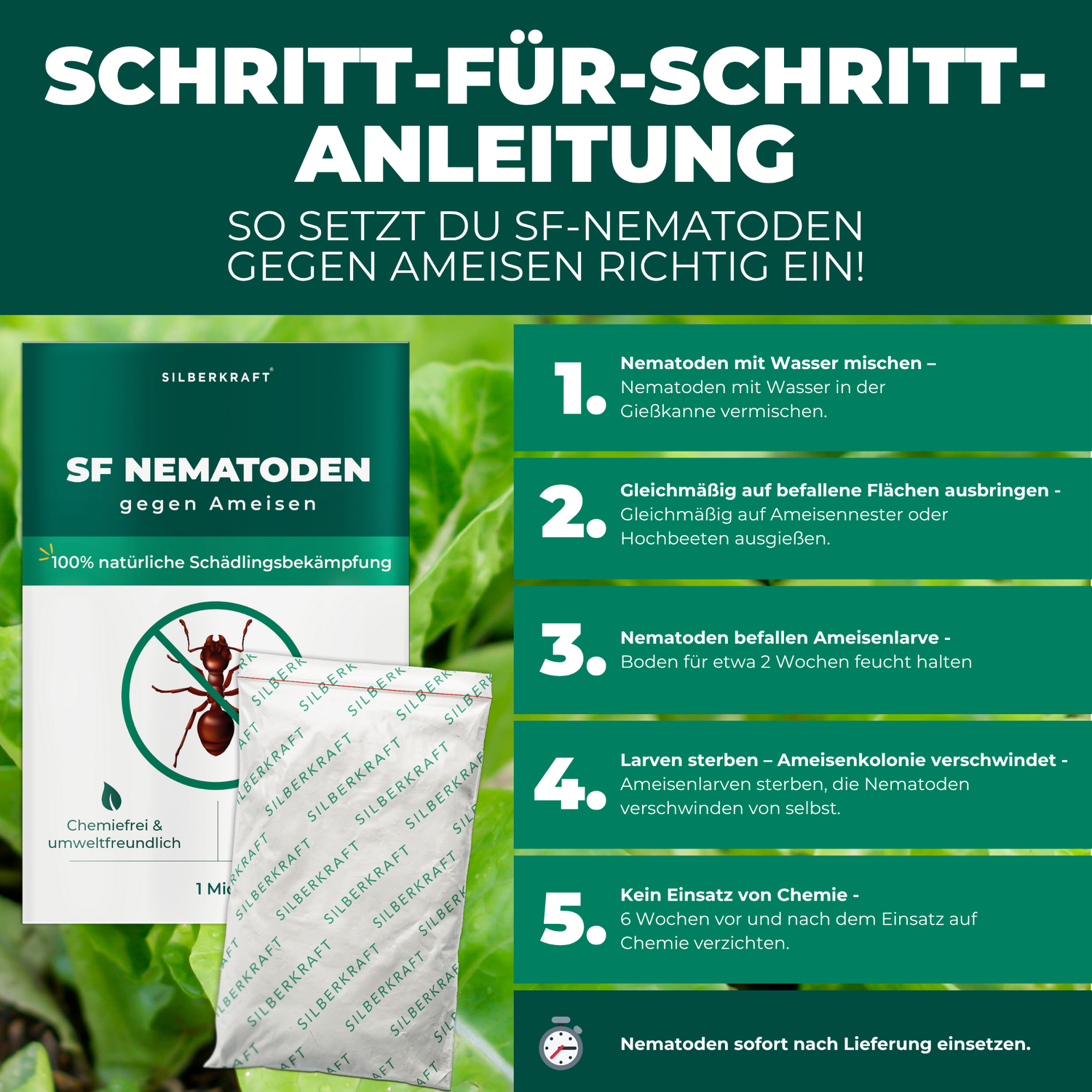 Problem & Lösung