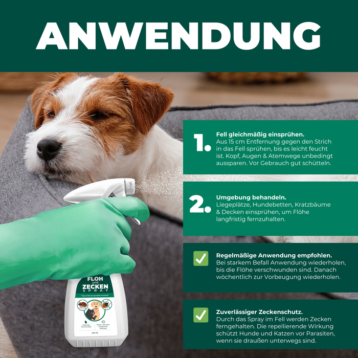 Spray antipulci e zecche per cani e gatti