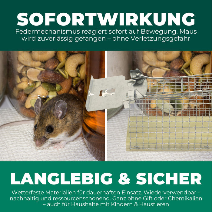 Piège vivant pour souris en fil de fer - Piège à souris - Alternative respectueuse des animaux aux pièges à pression et aux appâts empoisonnés