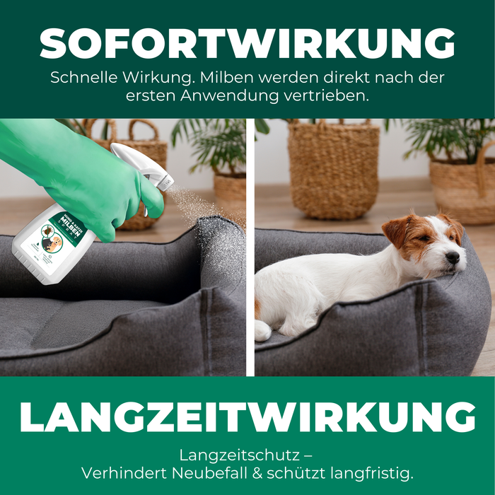 Sofort- und Langzeitwirkung gegen Milben: Links wird ein Milbenspray auf ein Hundebett gesprüht, um Milben sofort zu vertreiben. Rechts liegt ein entspannter Hund in seinem sauberen Bett, das langfristigen Schutz vor Neubefall bietet. Das Produkt sorgt für schnelle Wirkung und langanhaltenden Schutz.