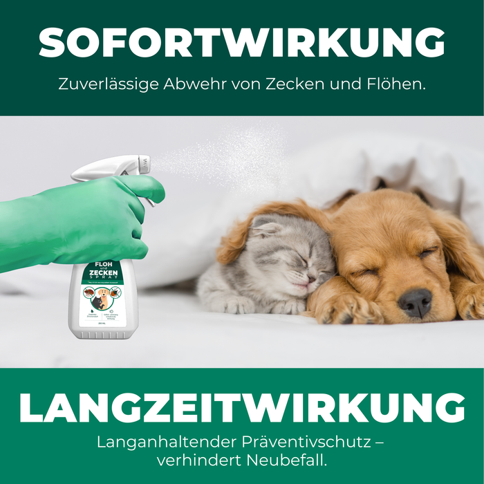 Spray antipulci e zecche per cani e gatti