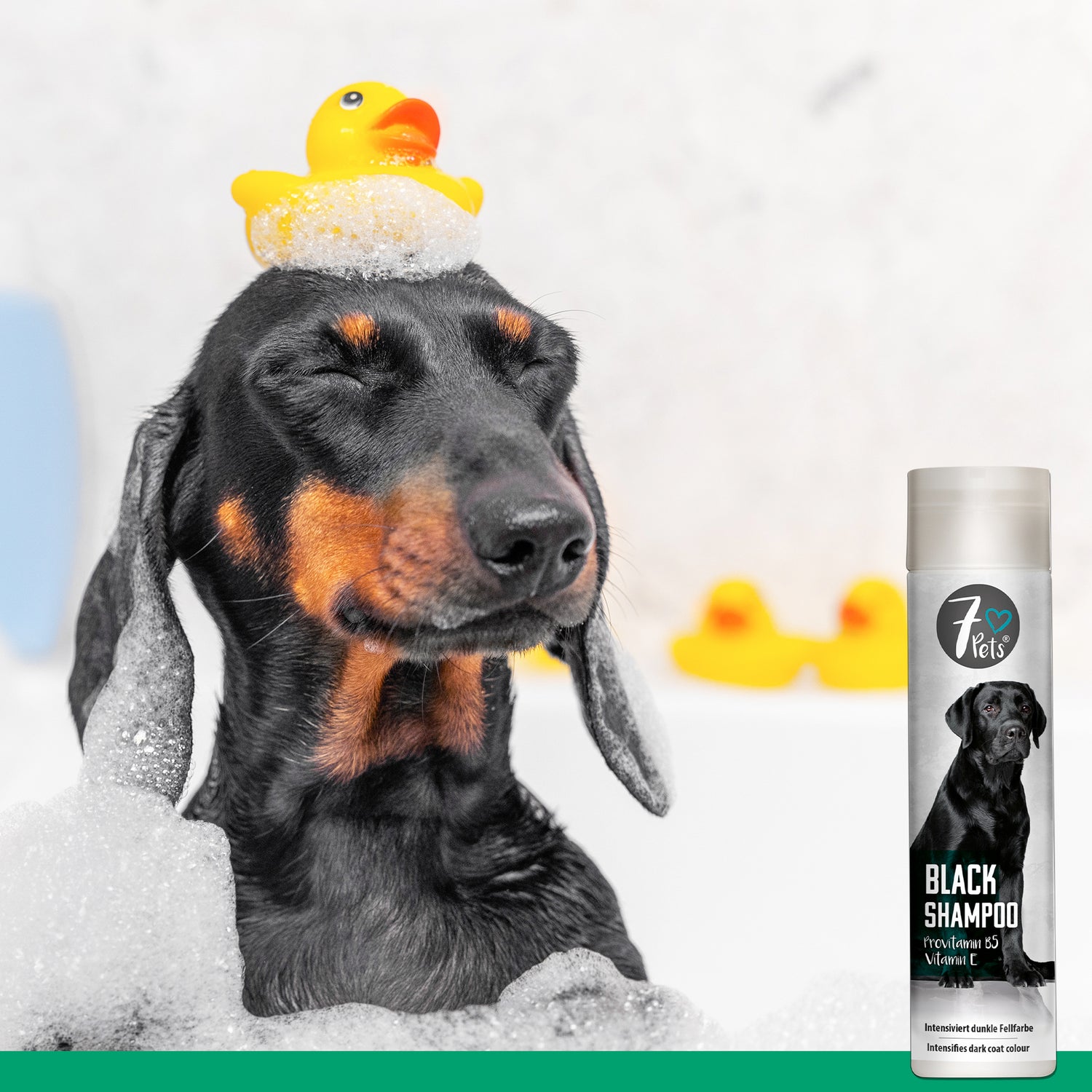 Black Shampoo - Hundeshampoo für dunkelfarbiges Fell