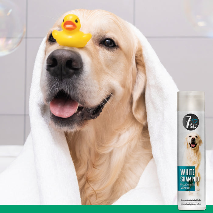 White Shampoo - Hundeshampoo für helles Fell