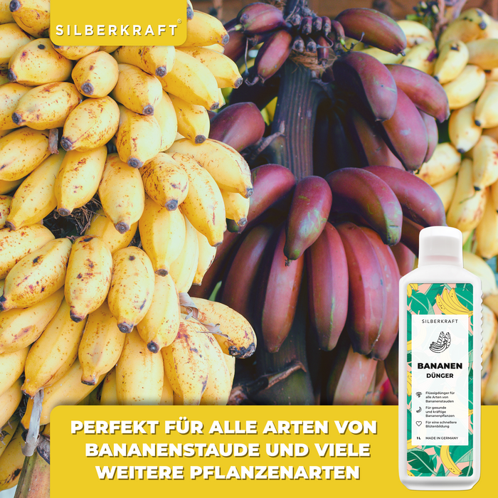 Engrais banane 1 litre pour tous types de bananiers