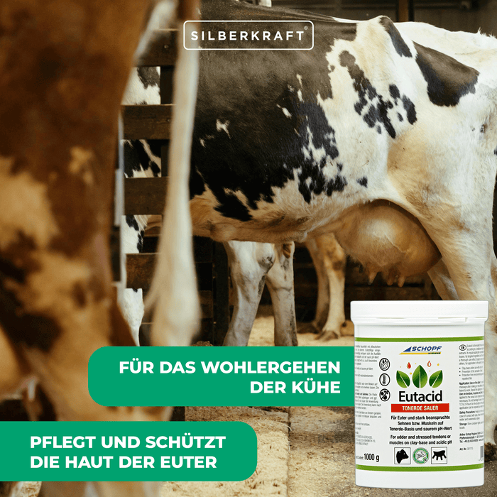 Eutacid Tonerdebalsam: Vielseitige Kuh-Pflege für Euter und Gelenke