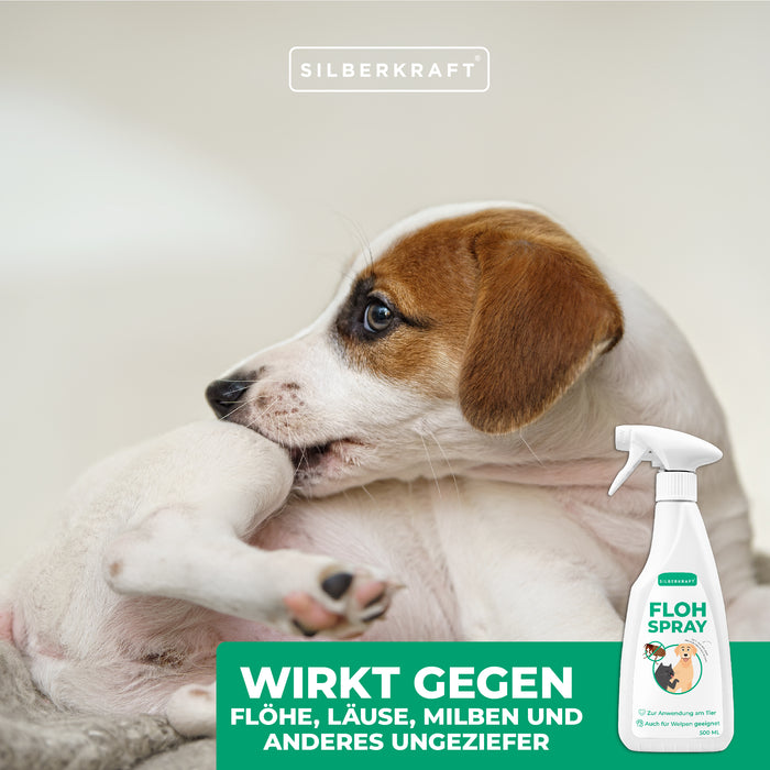 Spray anti-puces Chiens &amp; Chats