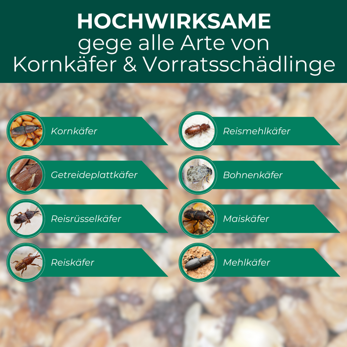 Kornkäferfalle wirksam gegen Kornkäfer, Reiskäfer, Mehlkäfer und weitere Vorratsschädlinge