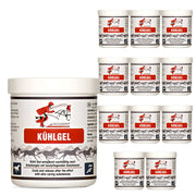 Kühlgel für Pferde: sanfte Entspannung & Regeneration
