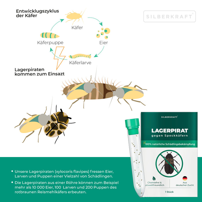 Lagerpirat zur Bekämpfung von Speckkäfern und Vorratsschädlingen
