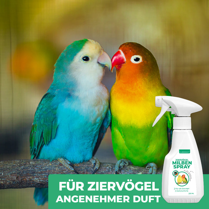 Milbenspray Vögel