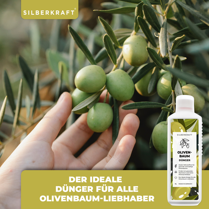 Olivenbaum-Dünger 1 Liter für alle Arten von Olivenbäumen