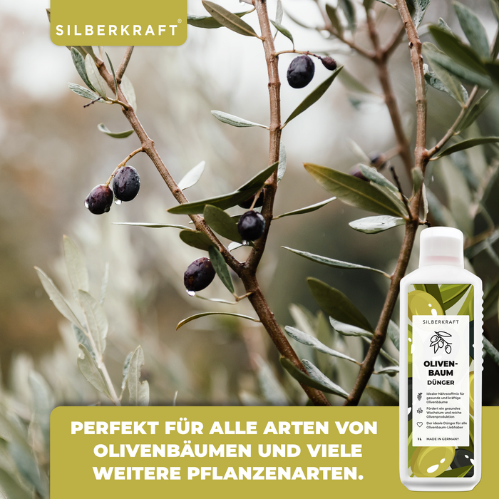 Olivenbaum-Dünger 1 Liter für alle Arten von Olivenbäumen