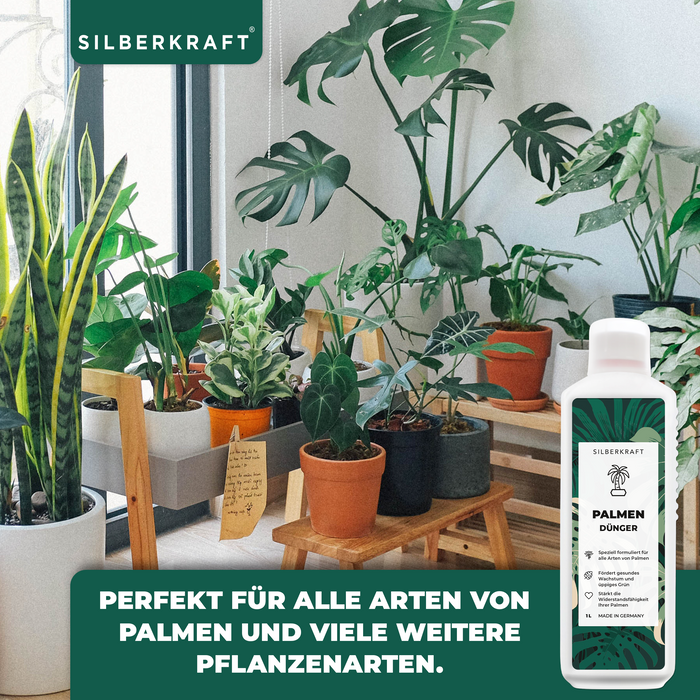 Palmen Dünger 1 Liter für alle Arten von Palmen