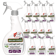 Schweif- und Mähnenspray Brillant für glänzendes Pferdehaar
