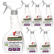 Schweif- und Mähnenspray Brillant für glänzendes Pferdehaar