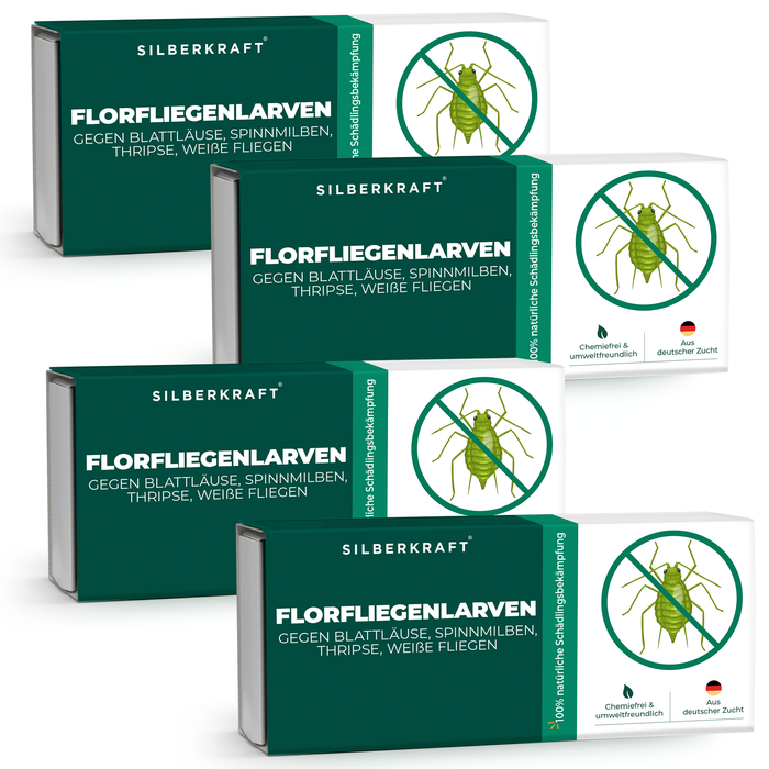 Florfliegenlarven gegen Blattläuse, Spinnmilben, Thripse, weiße Fliegen