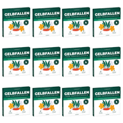 Gelbfalle Gelbtafeln Gelbsticker 12 Stück gegen Fruchtfliegen, Trauermücken, uvm.