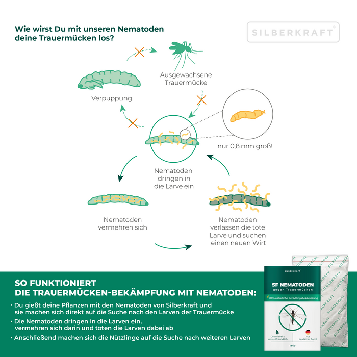 SF Nematoden zur Bekämpfung von Trauermücken für Zimmerpflanzen
