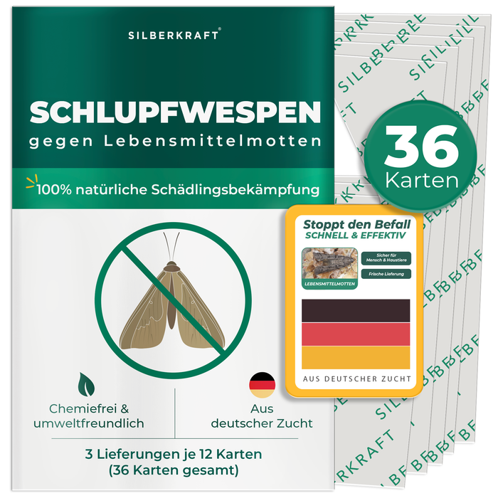 Schlupfwespen gegen Lebensmittelmotten