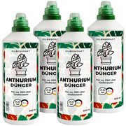 Anthurium Dünger