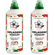 Dipladenia Dünger