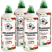 Dipladenia Dünger