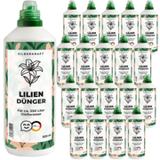 Lilien Dünger