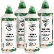 Lilien Dünger