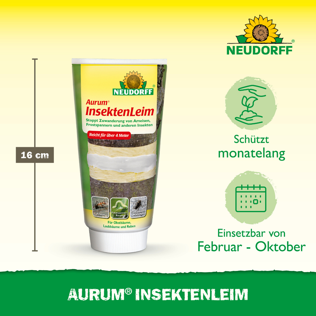 Problem & Lösung