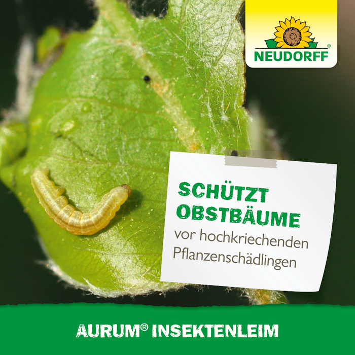 Neudorff Aurum Insekten Leim