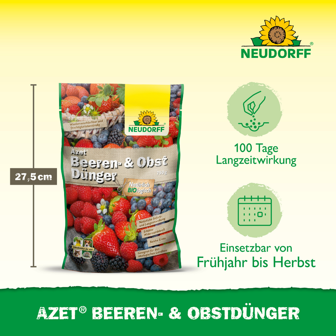 Problem & Lösung