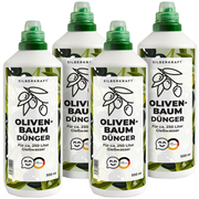 Olivenbaum Dünger