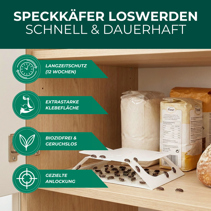 Speckkäfer In Der Wohnung Erkennen Und Bekämpfen - Foto 5