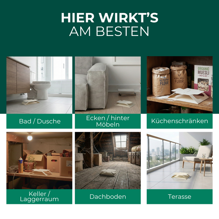 Speckkäferfalle im Einsatz in Bad, hinter Möbeln, Küchenschränken, Keller, Dachboden und Terrasse