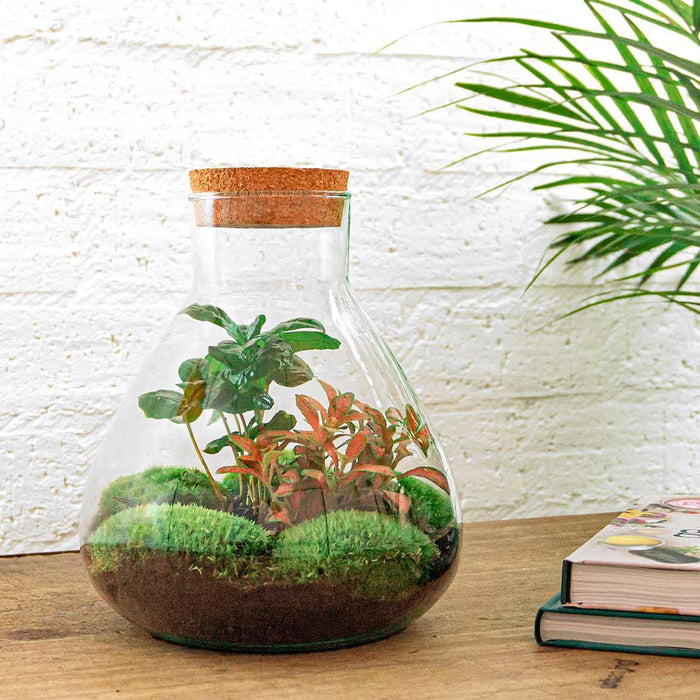 Jardin de bouteilles - Sammie Coffea - ↕ 26 cm - Râteau + Pelle + Pince à épiler