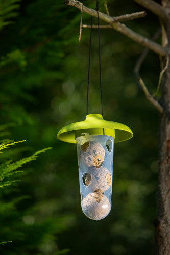 Mangeoire à Oiseaux - Station d'Alimentation Multifonctionnelle pour Oiseaux - 22cm