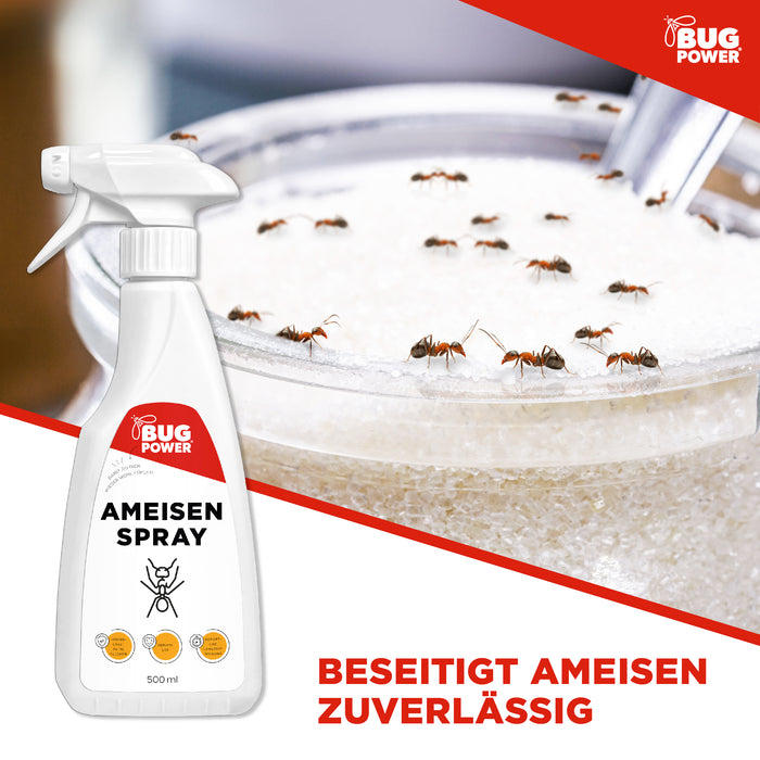 BugPower Ameisen Spray  - effektiv gegen Ameisen