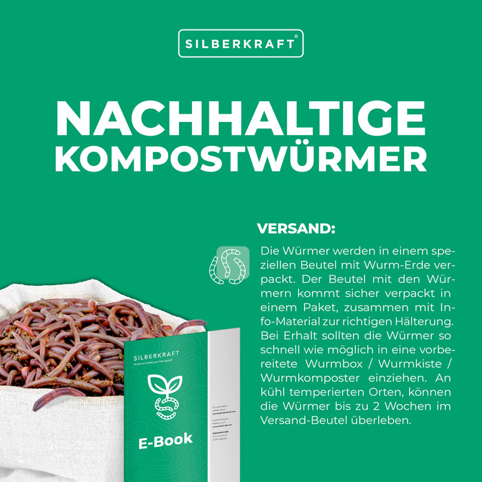 Silberkraft Kompostwürmer Set - Lebende Würmer Mix - Effektive Kompostbeschleuniger für Wurmkiste, Wurmkomposter, Schnellkomposter, Komposter