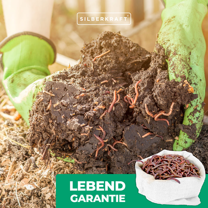 Set di vermi per compost Silberkraft - mix di vermi per compost viventi - efficace acceleratore di compost per scatola di vermi, compostiera per vermi, contenitore per compost rapido, contenitore per compost - super verme veloce e sostenibile