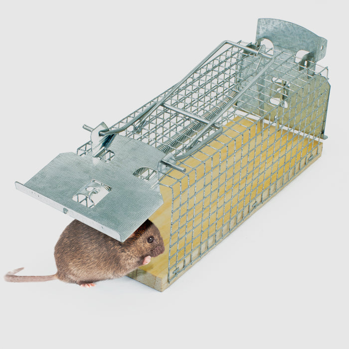 Lebendfalle für Mäuse aus Draht - Mäusefalle - tierfreundliche Alternative zu Schlagfallen und Giftköder