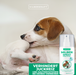 |mengenvorteile:100 ml